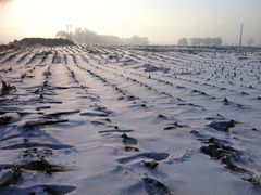 iphone_upload_pic-雾凇岛