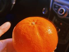 -东方鼎信农副产品交易中心