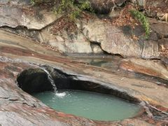 -广州白江湖森林公园