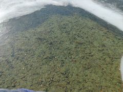 -野三坡刘家河高山漂流