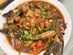 啤酒弄水鱼-生态苑农庄(十里画廊遇龙河店)