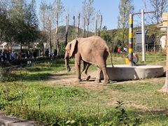 -哈尔滨北方森林动物园