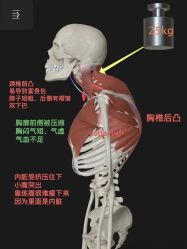 点击看大图 -U+YOGA优伽瑜伽·普拉提