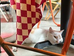 -nodcafe(M50创意园店)