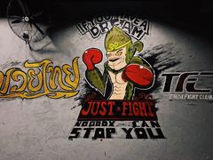 -TFC 纯泰拳馆MuayThai
