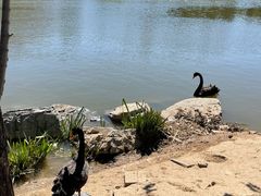 -龙熙维景国际会议中心