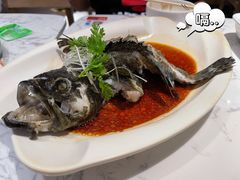 石斑鱼-T11生鲜超市(朝阳公园店)