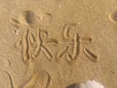 -天津东疆湾沙滩景区
