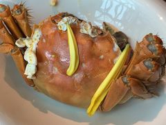 清蒸大闸蟹-蟹榭·本帮江浙菜·蟹宴(五角场合生汇商场店)