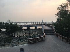 -宝安西湾红树林湿地公园