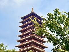 -牛首山文化旅游区