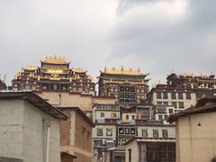 -云上珍野生菌(兴仁店)