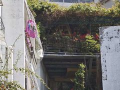 -彳亍咖啡·这里(水湾路店)