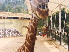 -泉州海丝野生动物世界