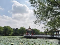 -长春市南湖公园