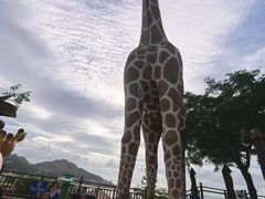 -西霞口神雕山野生动物世界