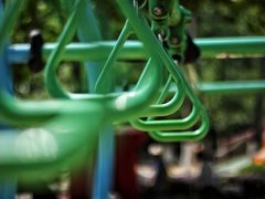 -合肥滨湖国家森林公园