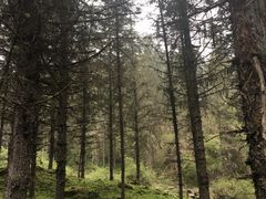 景点-硗碛藏寨·神木垒景区