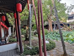 -上海醉白池公园