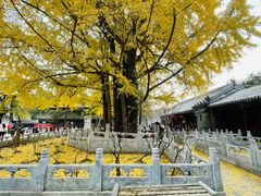 -潭柘寺景区