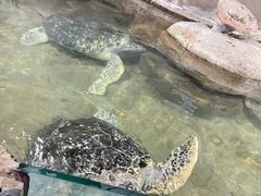 -厦门海底世界