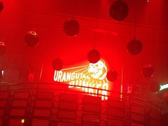 -Orangutan Bunker猩猩地堡酒吧(兰桂坊店)