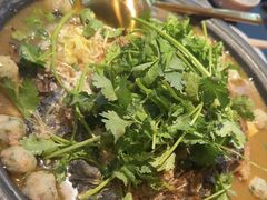 -探鱼·鲜青椒爽麻烤鱼(三水广场店)