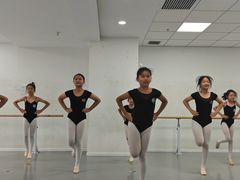 -西安小天鹅艺术团(金花路校区)