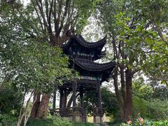 -韩湘水博园