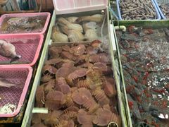 -南沙十九涌渔人码头-南门