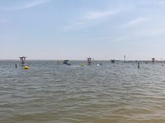 -碧海金沙