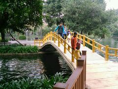 -晓港公园