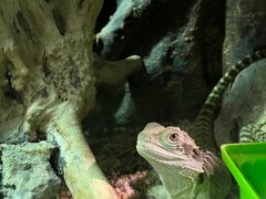 -天津zoonly动物主题公园