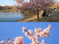 -上海辰山植物园