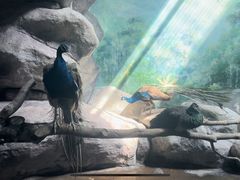 -福州罗源湾海洋世界旅游区