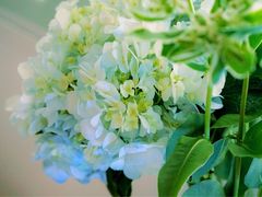 -爱尚花坊(大林路店)