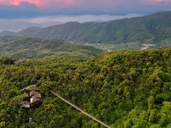 -三亚亚龙湾人间天堂鸟巢度假村