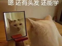 -小麦穗私人订制蛋糕·甜品台(万达店)