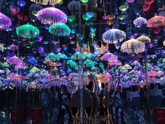 -梵高星空艺术馆(北京旗舰店)