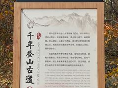 -北京鹫峰国家森林公园