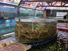 -顺德了能馆(虎门店)