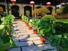 -荷风细雨·中国茶宴(碧云店)