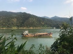 -羚羊峡古栈道森林公园