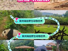 -泉州海丝野生动物世界