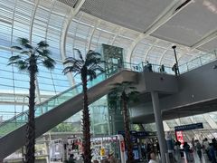-合肥新桥国际机场-航站楼