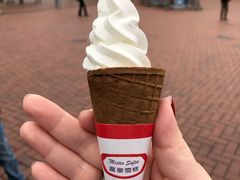 -富豪雪糕车流动点(尖沙咀店)