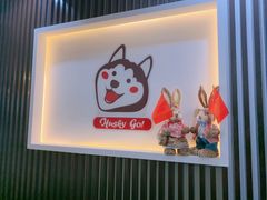 -Husky Go! 哈士奇体验馆·宠物咖啡厅狗咖