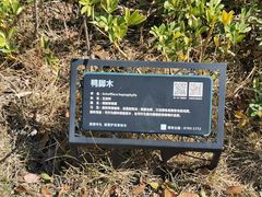 -牛岗山公园