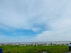 -南汇新城海滩