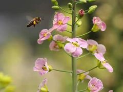 -阆辣荟餐饮(老味道8年·古城店)